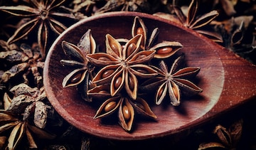 dark-brown-star-anise-vns-005