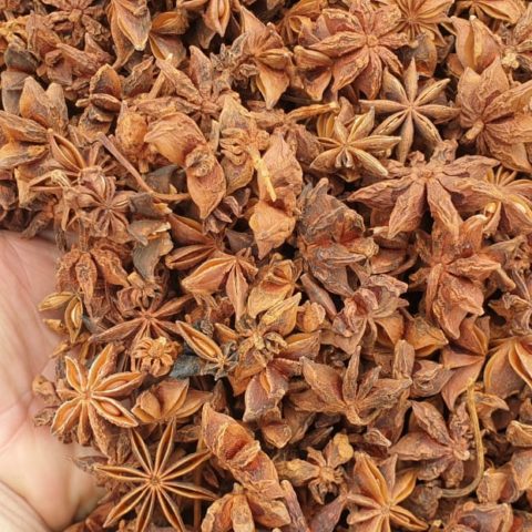 <a href="index.php/member/">Star Anise Spring</a>