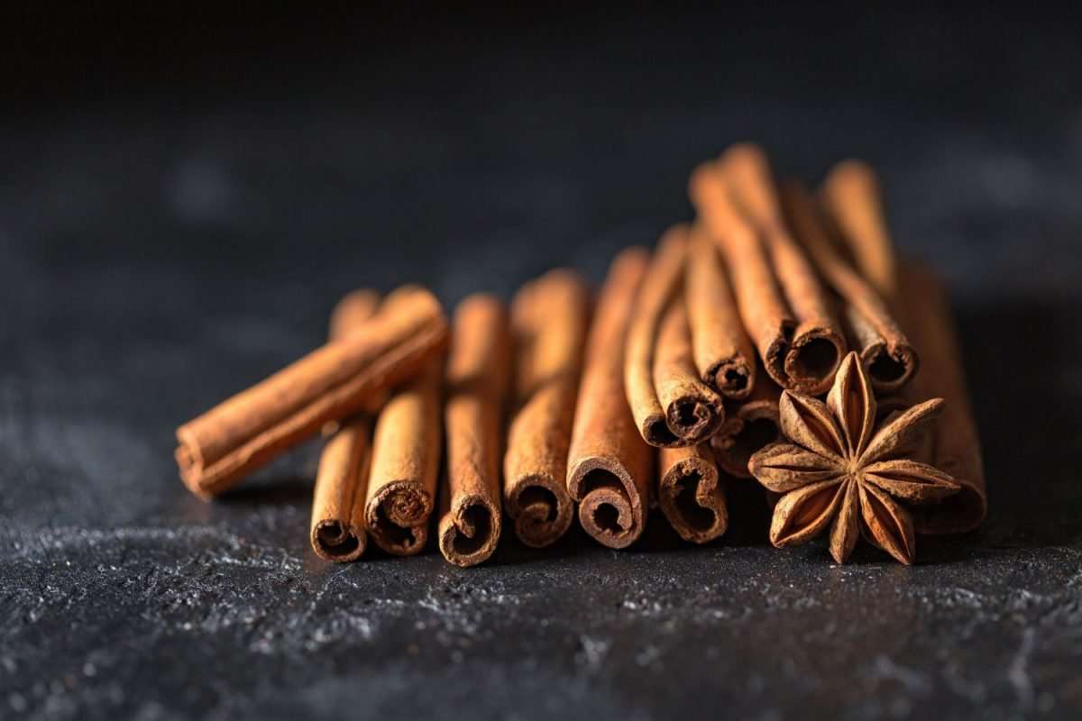 Star Anise