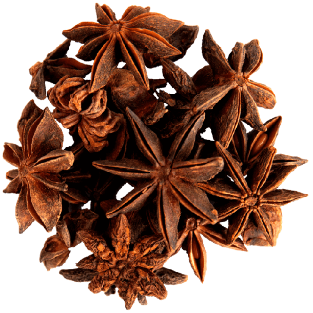 spring-star-anise-vns