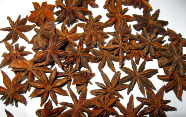 spring-star-anise-vns