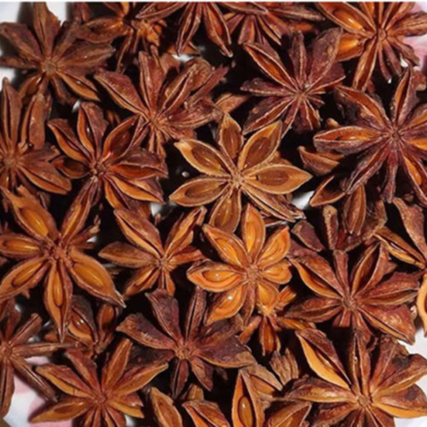 spring-star-anise-vns