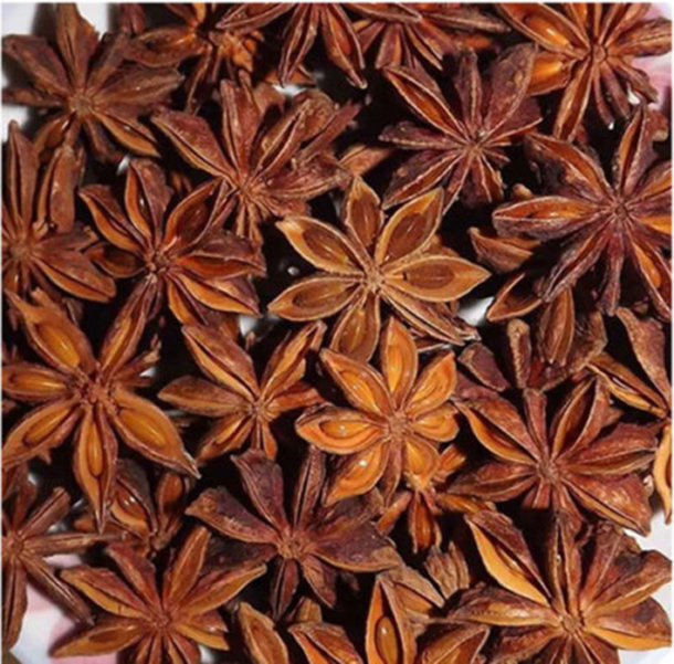 spring-star-anise-vns