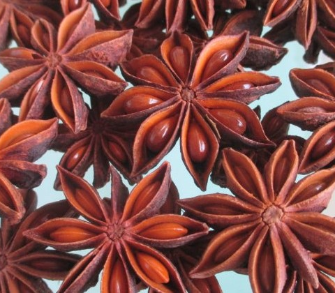 star-anise-vns-natural-color