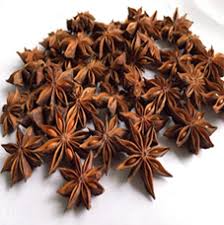 star-anise-autumn-vns